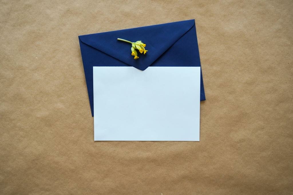Newsletter #1